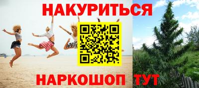 гидропоника Донской